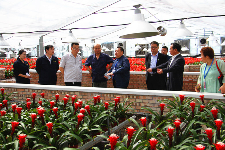 巴比伦庄园（广州）农业科技有限公司董事长樊付洪考察公司农业项目