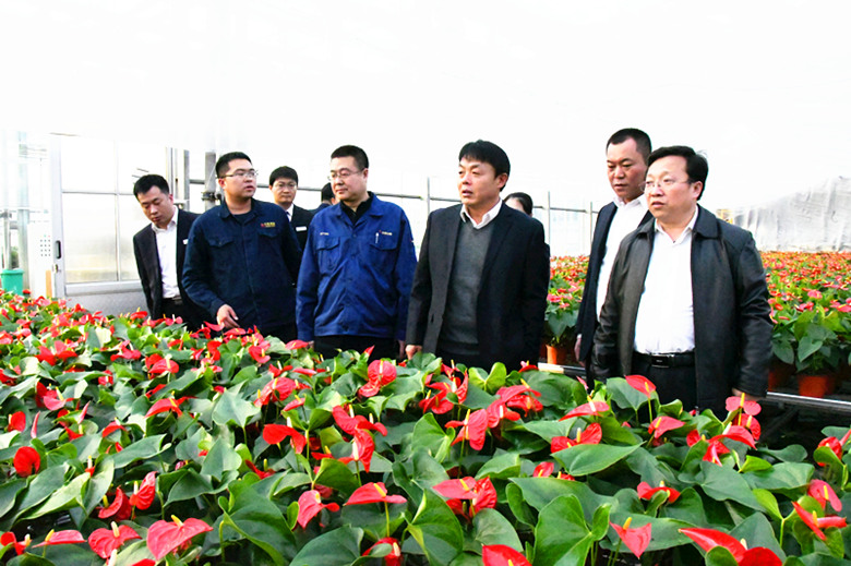 省联社临汾办事处党组成员、副主任张金钟到绿恒农业公司调研